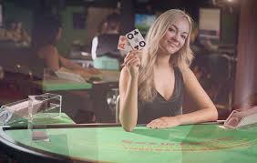 Betting Gurus Online Casinos Overview